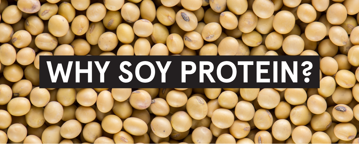 Why Soy Protein graphic